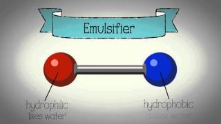 Emulsification animation  WJEC Eduqas GCSE Food Preparation and Nutrition [upl. by Llerral]