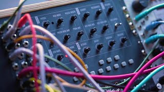 Meet Mavis A Moog SemiModular Analog Synthesizer [upl. by Weismann]