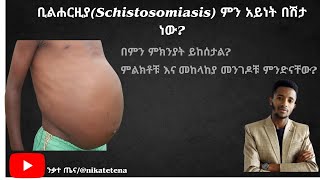 የቢልሐርዚያ በሽታ ምንድነው Understanding BilharziaSchistosomiasis [upl. by Ikram]