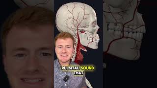 Pulsatile Tinnitus Doctor Sarasota Lavender Family Chiropractic resolves whooshing sounds in ear [upl. by Ahsennek]