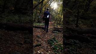 Hiking in the woods of the mountains solohiking foresthike hikingalone [upl. by Enyleuqcaj]