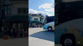 BANFF TOWN  ALBERTA  CANADA 🇨🇦 canada mountains travel trending trendingshorts bus [upl. by Brabazon]