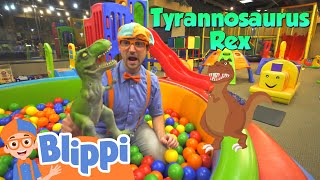 Blippi Visits an Indoor Playground  Learning Videos For Kids  Education Show For Toddlers [upl. by Afatsom924]