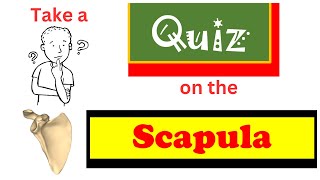 Quiz on the scapula [upl. by Yreme]