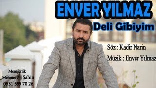 ENVER YILMAZ  DELİ GİBİYİM  Official Audio [upl. by Gasper96]