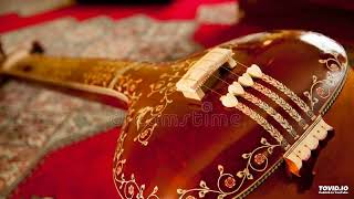 TANPURA FEMALE SECOND VERSION  A PASA ACOUSTIC PROFESSIONAL LEVEL DHRUPAD SIGNATURE TUNE [upl. by Allemahs853]