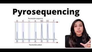 Pyrosequencing sequencing dna [upl. by Crystie274]