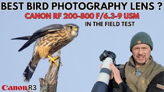 Best Bird Photography Lens  In the Field Review of the Canon RF 200800 f63f9 using the Canon R3 [upl. by Uv435]