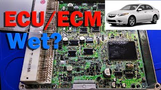 Easy Steps to Clean ECUECM on Your Acura TSX [upl. by Mikkel375]