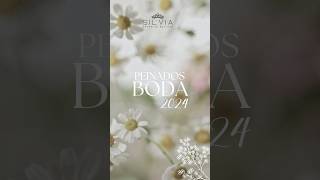 ✨💍Peinados Boda 2024💍✨ peinadosBodas2024 semirecogidos recogidos trenzas ondas invitadasdeboda [upl. by Moria]