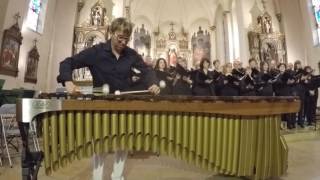 Sven Kiefer  AGNUS DEI for choir amp marimba solo part1 [upl. by Hamon673]