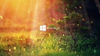 Live Wallpaper Windows 10 Nature Live Wallpaper 4K [upl. by Venator186]