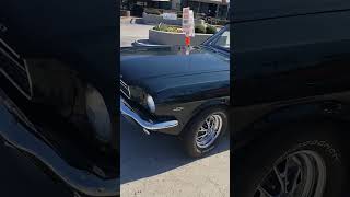 Clean Fastback stang [upl. by Ronna]