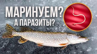 Вкусная маринованная ЩУКА Безопасный рецепт [upl. by Bahe317]