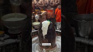 Mahadev status Mahadev status video 💫 mahakal status ❤️ bholenath mahadev mahadevstatus [upl. by Hank]