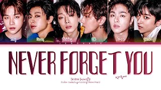 iKON Never Forget You Lyrics 아이콘 잊어볼게 가사 Color Coded Lyrics [upl. by Kimon331]