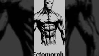 Perfected “ECTOMORPH” build [upl. by Assital]