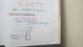 Osteosarcoma Pathology [upl. by Nixon112]