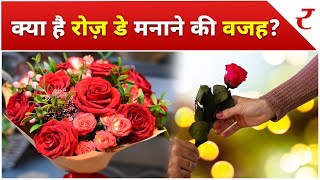 Rose Day 2024 क्यों मनाते है Rose Day जानें क्या है वजह [upl. by Ainahs776]