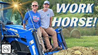 FULL Morning Farm CHORES with New Holland Tractor Review [upl. by Ellennej]