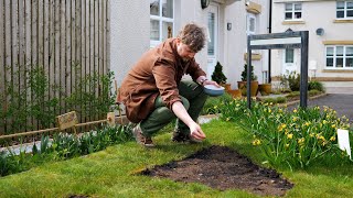 How to Grow a Wildflower Patch with Andy Peasgood [upl. by Lontson]