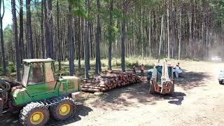 Colheita florestal  Pinus elliottii  Ponsse  John Deere  Caterpillar  Operação [upl. by Annaeed]