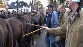 Paardenmarkt in Hedel [upl. by Vivl]