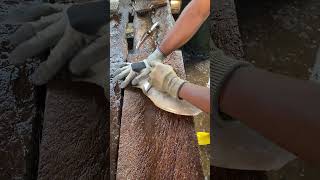 Amazing fish cutting skills fish fishcuttingskill bigfish [upl. by Fishback396]