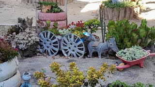 TOUR JARDIM DE SOL PLENO SEM CHUVA O TANTO QUE TÁ LINDO [upl. by Aiciruam122]