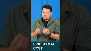 what is epididymal cyst varicocele epididymalcyst himanshudhawan maleinfertility shorts [upl. by Adnauqahs13]