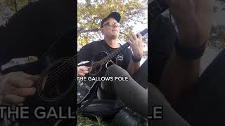 FINGERSTYLE BLUES THE GALLOWS POLE guitar fingerstyleguitar [upl. by Lau]