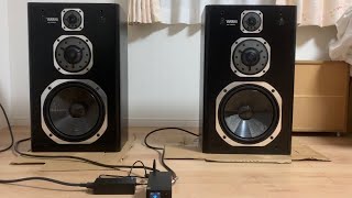 中華アンプSMSL SA300 でYAMAHA NS1000Xを鳴らしきれるのか？やってみた！ [upl. by Labanna]