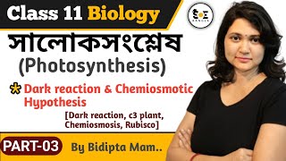 সালোকসংশ্লেষ Class 11  Part 03  Photosynthesis Class 11 in Bengali [upl. by Acimehs275]