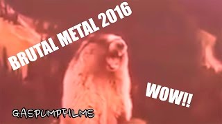 Most Brutal Metal Scream Ever 2016  Screaming Beaver Remix [upl. by Ecal]