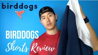 FIRST IMPRESSIONS Birddogs shorts [upl. by Laurel968]