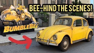 BUMBLEBEE BEEHIND the SCENES [upl. by Shaff]