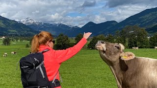 Zillertal Wanderung von Kapfing bis Kaltenbach über Uderns und zurück mit der Zillertalbahn [upl. by Miguel]