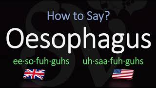 How to Pronounce Oesophagus CORRECTLY Meaning amp Pronunciation [upl. by Ravid711]