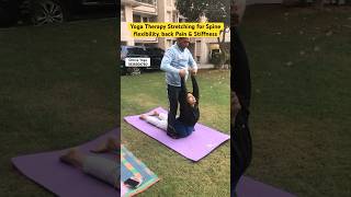 Yoga Therapy Stretching for Spine flexibility back Pain and Stiffness shorts yoga fitness [upl. by Fredkin]