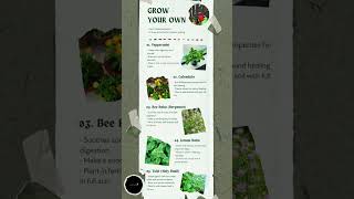 Top 5 Medicinal Herbs to Grow at Home for Natural Healing [upl. by Mart]