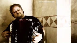 Zoltan Orosz  Summer moments with Serenellini Accordion  2015 [upl. by Quill474]