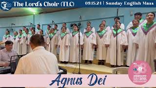 Agnus Dei  091524  TLC  38 Sunday English Mass  TLC Doha [upl. by Rabah524]