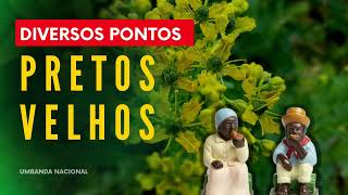 DIVERSOS PONTOS DE PRETOS VELHOS [upl. by Neelrihs]