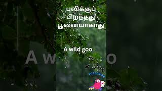 127 Spoken English Proverbs  Spoken English in Tamil spokenenglishintamil shorts [upl. by Jessalin148]