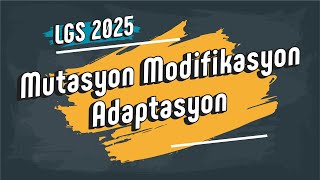 Mutasyon Modifikasyon Adaptasyon  8 Sınıf LGS2025 [upl. by O'Kelly907]