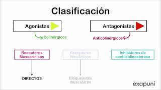 Introducción a farmacología colinérgica y anticolinérgica [upl. by Bevin261]