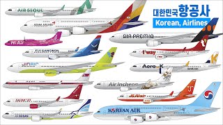 대한민국 항공사  Airlines in South Korea  1 North Korea [upl. by Yelekreb866]