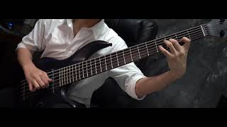 Animals As Leaders  Apeirophobia  Solo On BASS [upl. by Kenton]