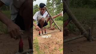 Amazing Most Building Beautiful House Wild Pig Trap Using Gas Cylinder wildanimal animals shorts [upl. by Ssur]