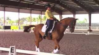 Collecting the Canter with Debbie McDonald [upl. by Ashley]